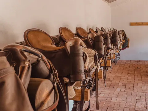 Traditional leather saddles prepared in the tack room