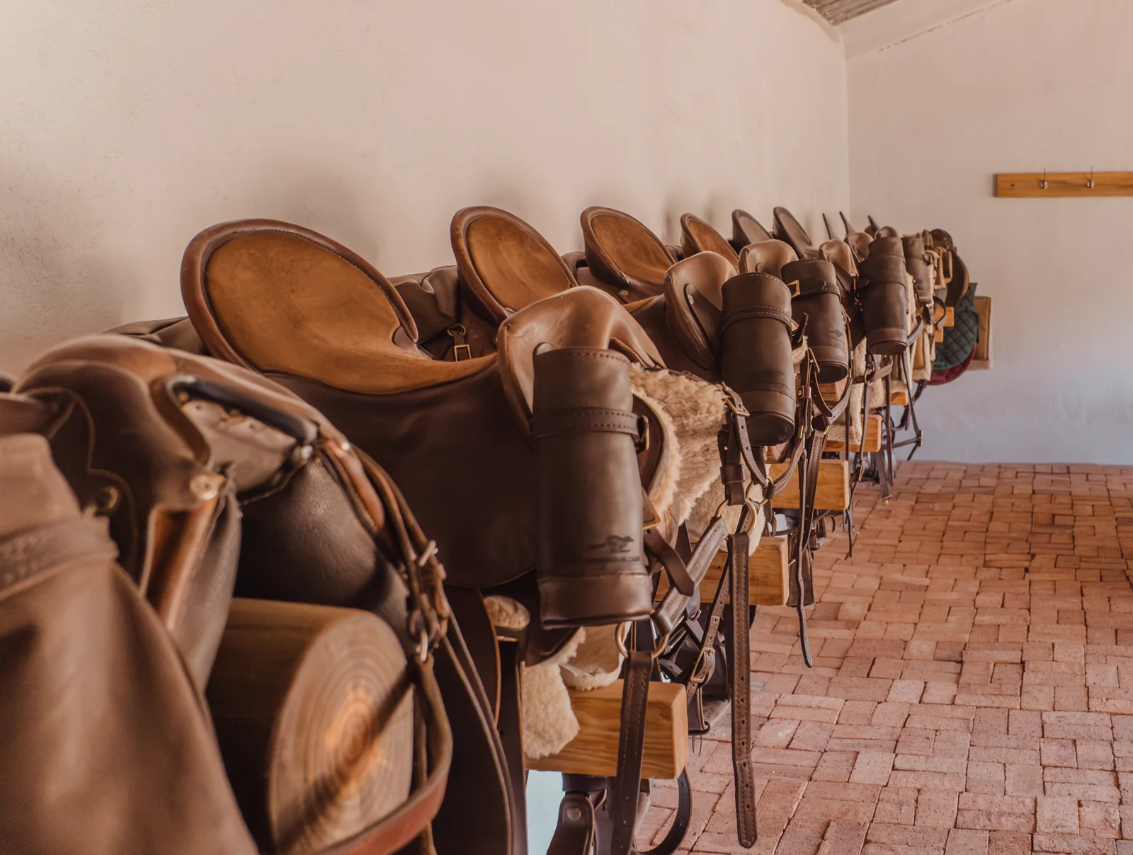 Traditional saddles prepared for mounted hunting at Whytebank Chase