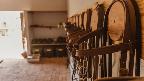Saddles, bridles and riding equipment in the tack room