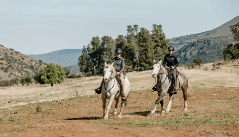 Mounted riders setting out from the farm