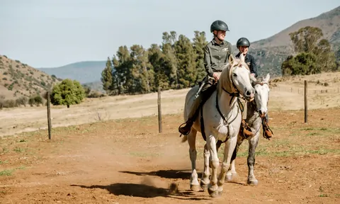 A rider and horse ready for the hunt