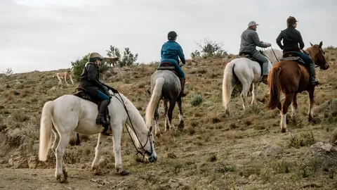 Riders moving together across open ground