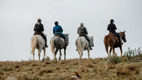 Mounted riders looking out over the landscape