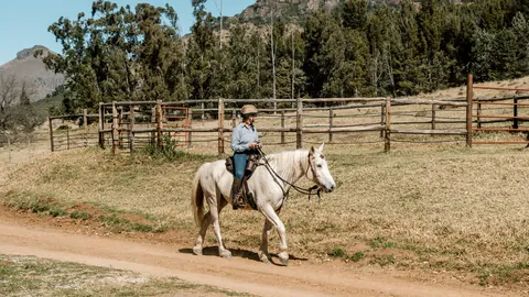 A mounted rider approaching along a country track