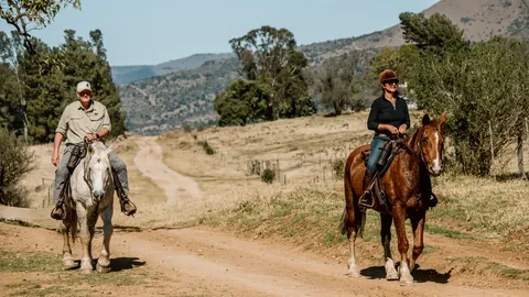 Two mounted riders on the estate track