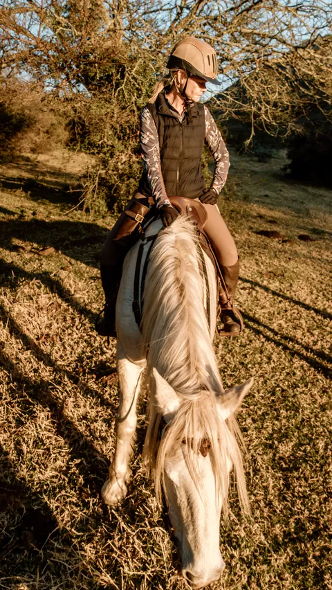 Mounted rider riding through woodland