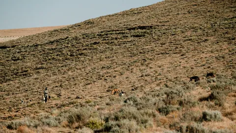 Hunters moving across a distant hillside