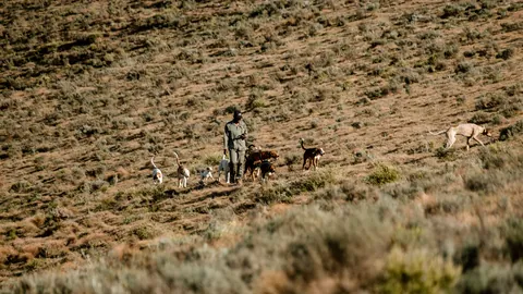 A field party crossing the mountain grassland
