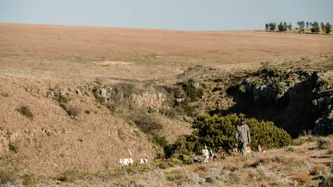 A rugged ravine in the Eastern Cape landscape
