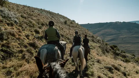 The mounted party looking across the valley