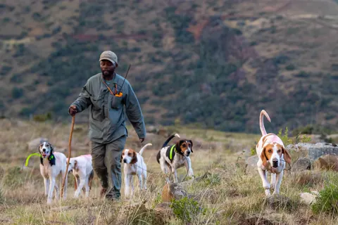 Whytebank Chase hounds walking through the valley