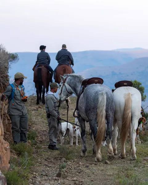 Horses and riders pausing in mountain country