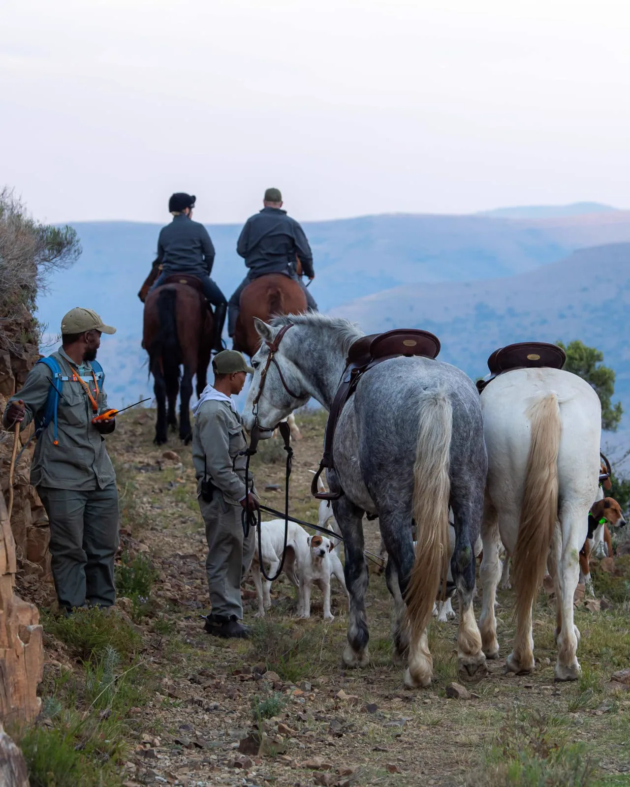 Horseback riders moving through rugged mountain terrain