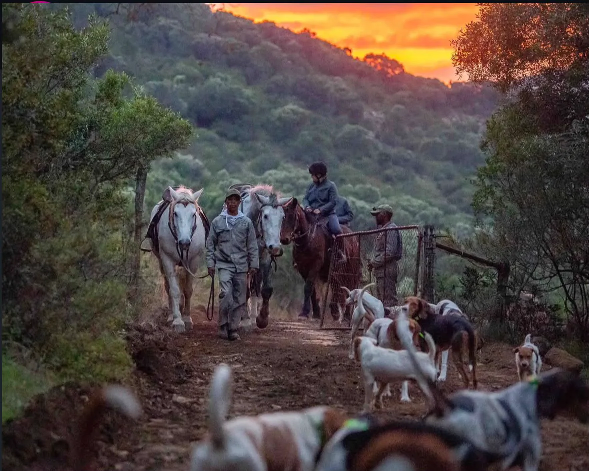 Mounted riders and hounds crossing the Eastern Cape mountain landscape